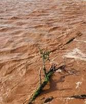 flooding