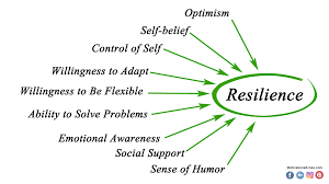 Building Resilient Communities: Strength in Adversity