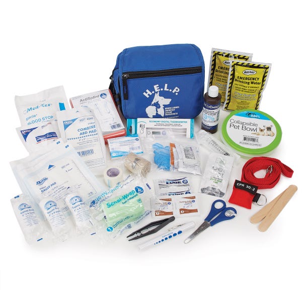 Essential Guide to Building Your Emergency Medical Kit