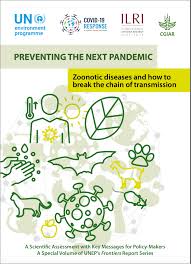 Preventing Disaster: Building Resilience for a Secure Future