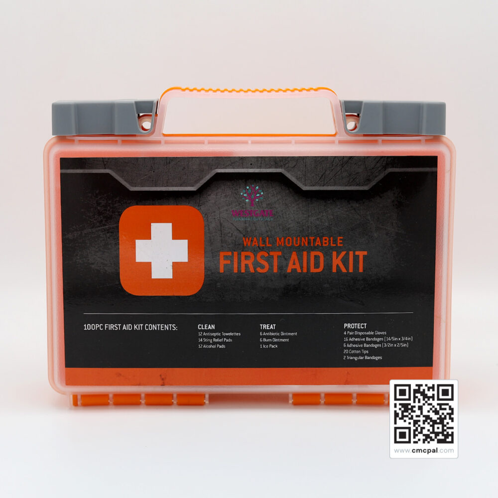 Essential Safety: The Benefits of a Wall Mounted First Aid Kit